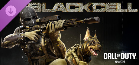 使命召唤2/Call Of Duty 2